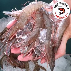 신안 급냉 새우 1kg (25~29미) 새언니 국내산 생새우 왕새우 대하 흰다리새우 새우소금구이 캠핑새우 제철수산물 shrimp, 1개