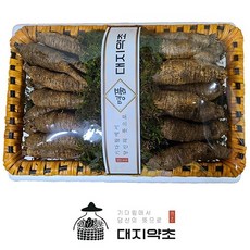 [대지약초] 명품 정선 햇더덕 깐더덕 생더덕 선물용 강원도 특산물, 선물용 상품 1.5kg, 1개