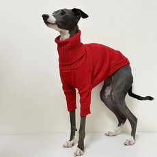 이탈리아그레이하운드옷 레드 터틀넥 스웨터 소프트 라펠 긴소매 휘펫 달마시안 베들링턴