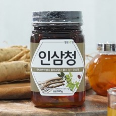 [창원몰]가고파힐링푸드 인삼청 500g, 1개, 1개입