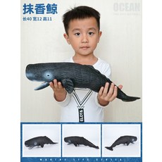 158203d1adb1ede099189a1a7015f9a316cf609d6d945fe9ea70d04efb8f.jpg