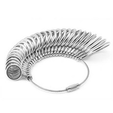 반지호수게이지