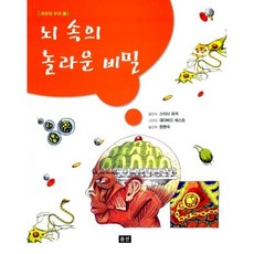 뇌 속의 놀라운 비밀