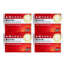 [정품발송] 대용량 RAYDEL 레이델 폴리코사놀 5 policosol 영양제 사탕수수왁스알코올 쿠바산 직장인 남자 여자 추천 440985, 30정, 4박스