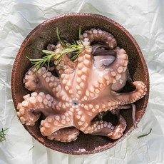 모리타니아문어