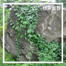 8f22dfb6d87988d8749c07f49db3da03a42e6c0d91a2932497b04f4553c7.jpg