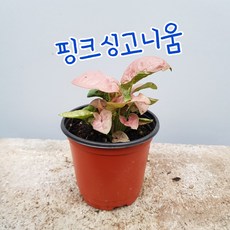 8f281d55606acb8124c78d5bfeb838e890b5383a6c06b29270e27fafd361.jpg