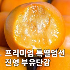 [백화점Vip용] 프리미엄 달콤가득 과즙폭발 진영 부유단감, 1박스, 5kg(중대과)