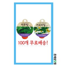 100개 1세트 - 레몬밤 카모마일 미니재배세트 대량구매환영 허브키우기