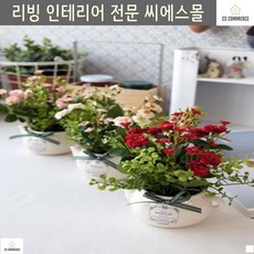 ddf8893d161d547683b45d27e7199606fbd52907c06264f26a81de203bf0.jpg