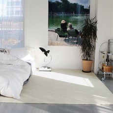 소프트워셔블200×290