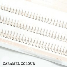 일본속눈썹