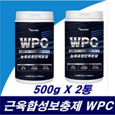 체중증가 보충제 이소 류신 BCAA WPC 근육프로틴 음료 마신는 단백질 WHEY 농축유청단백 분말 대두레시틴 근지구력 근력 근육 강화 회복 증가 엘 로이신 이소로이신 발린 여성 남성