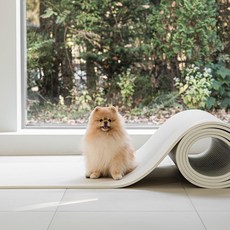 뛰놀마루 강아지매트 미끄럼방지 반려견 애견 복도 거실 셀프시공 롤매트 8mm, 1개, 패브릭 베이지