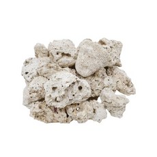 데드락 1kg 수석 랜덤