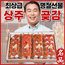 맛집사 반건시 상주 곶감 설선물세트, 반건시(특과) 30과