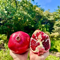 미국산 석류 생석류 중과 특대과 1kg 2kg 3kg 5kg 건강 갱년기 여성 선물 생과, 1kg (3-4과), 1개