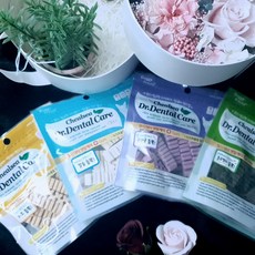 프로덴플라그오프덴탈바이트강아지용