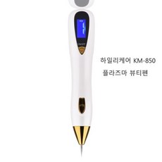 플라즈마식각기술