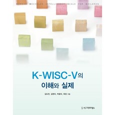 k-wisc-v이해와해석