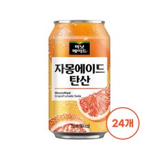미닛메이드 자몽에이드 탄산 355ml 24캔, 24개