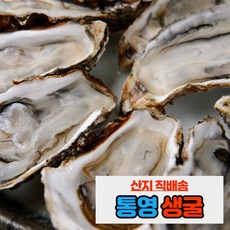 내고향농수산 통영 제철 생굴 석화 각굴 하프셀 1kg 5kg 10kg