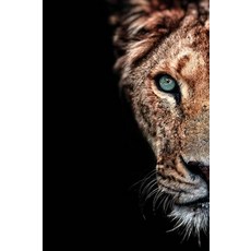 프리패브모듈러