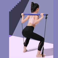 상체 하체 전신운동 짐스틱 홈트기구 추천 런지 필라테스 멀티스틱 실내운동기구 요가, 퍼플