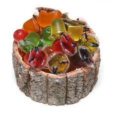 다우리아사슴벌레