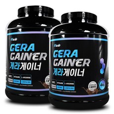 메이크바디 게라웨이프로틴 게라게이너 게라매스 헬스 단백질보충제, 2 게라게이너, 2개, 4kg