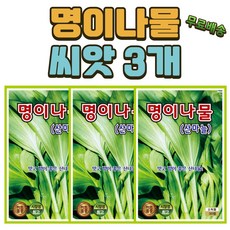 씨앗팜 산마늘 명이나물 씨앗 3개 (50립x3)
