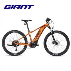 자이언트전기자전거