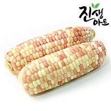 //상품명
