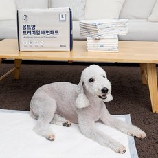 MONTTEAN 몽트앙 프리미엄 논슬립 강아지 배변패드 대형 30매