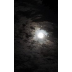 Moonlit Sky Sketchbook Hardcover, Bunny 17 Media, English, 9781648521089