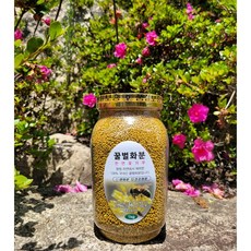 지리산 국산 먹는 꽃가루 건조 벌화분 비폴렌 BEEPOLLEN 1kg, 지리산 천연 꿀벌화분 1kg