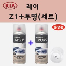 레이순정avn