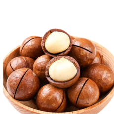  마카다미아 견과류 베트남 오스트리아 마카다미아효능 동남아올, 5개 