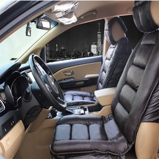 디트로네리무진