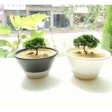 청짜보 TOP01