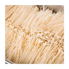 신선채소 영양만점 국내산 팽이버섯 2kg, ONE COLOR, ONE SIZE