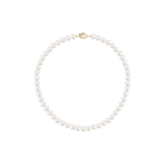 아코야진주비드