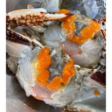 간장게장용꽃게