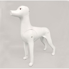 펫토스 견체, 1개, 500g