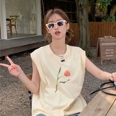 마르디메크르디니트