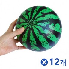 비치볼20호