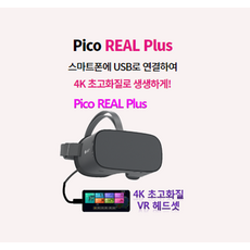 피코VR 리얼 플러스 PICO REAL PLUS 가상현실