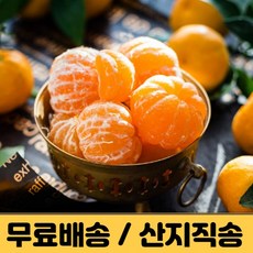 타이백감귤