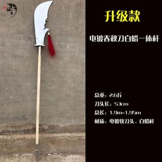 태극검 언월도 청품검 우슈 중국 무술 훈련 진가검 수련 용검, 05