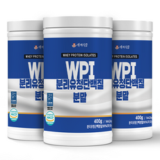 WPI 분리유청단백질분말 400g통 HACCP 인증제품, 400g, 3개